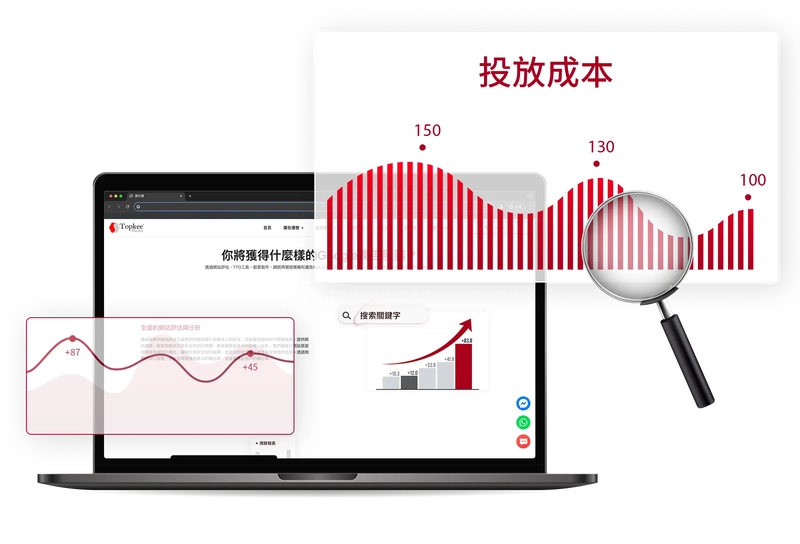 Data insights to harness market trends